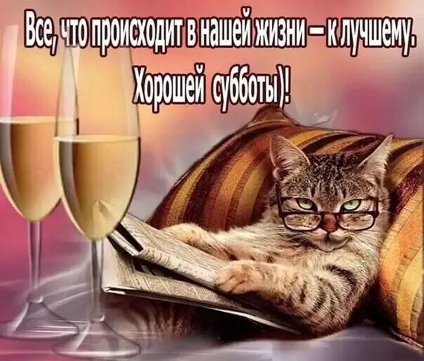 Философия жизни от кота ученого! #1