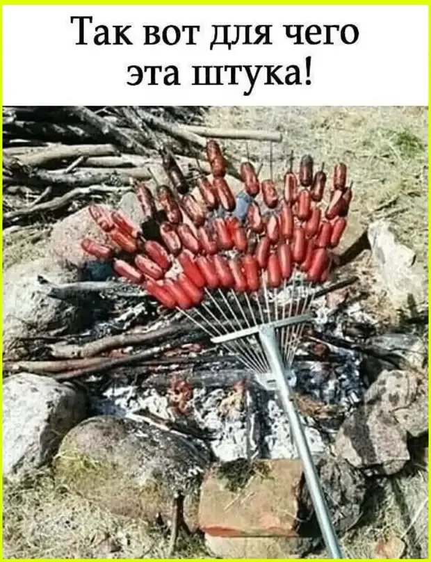 Грабли для сбора листвы пригодились для жарки сосисек #2