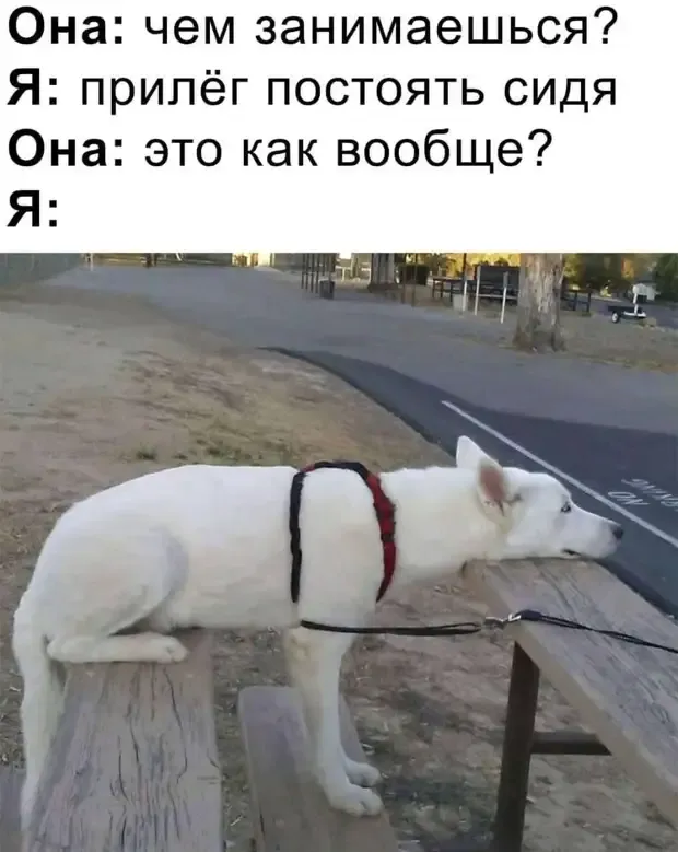 Как можно прилечь постоять сидя! #1