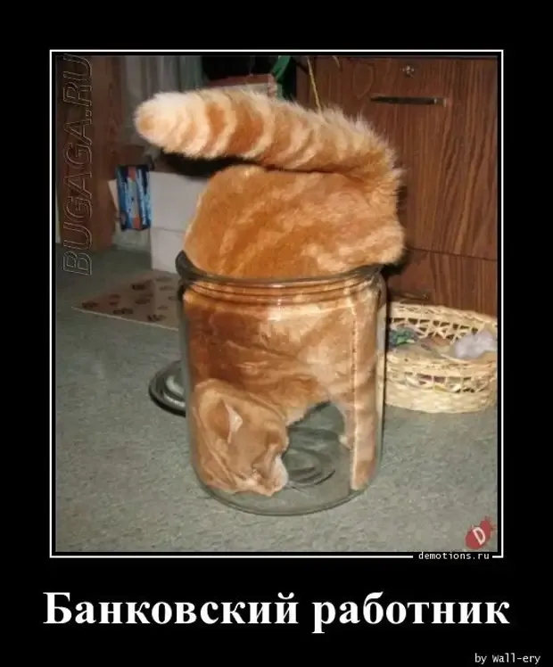 В банке труд нелегкий, главное выбраться живым, если уж удалось туда попасть #1