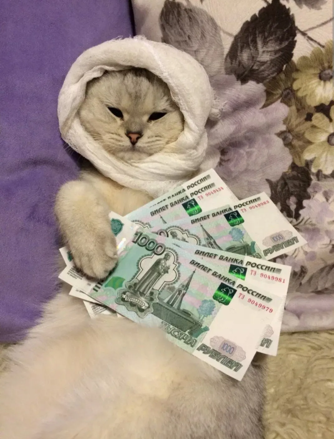 Денежный кот #2