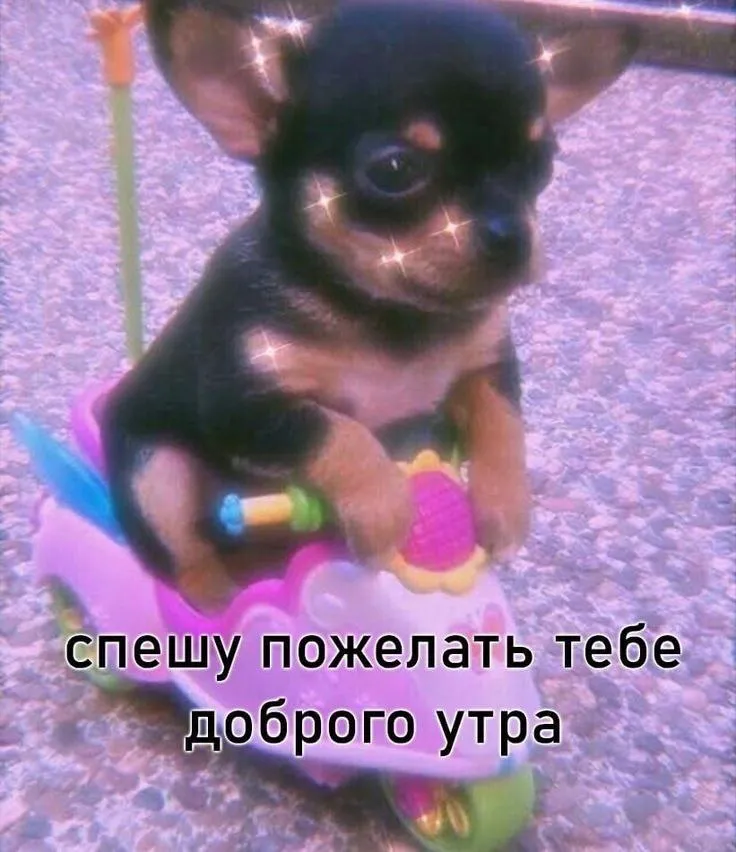 Понедельник день тяжелый #2