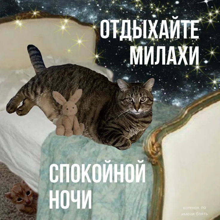 Сладких снов, солнышки #2