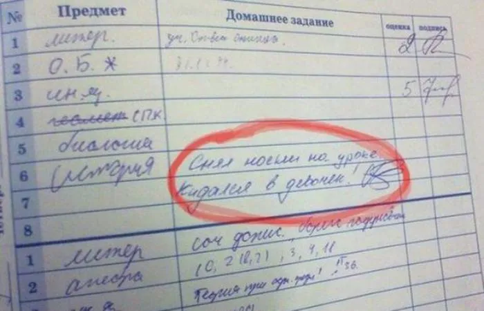 Самые веселые записи в дневниках  #2