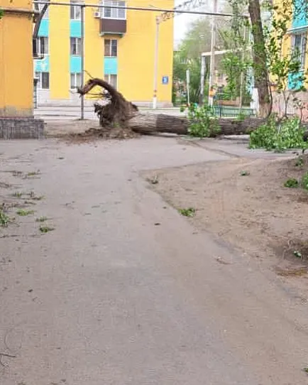 Доброе утро! #4