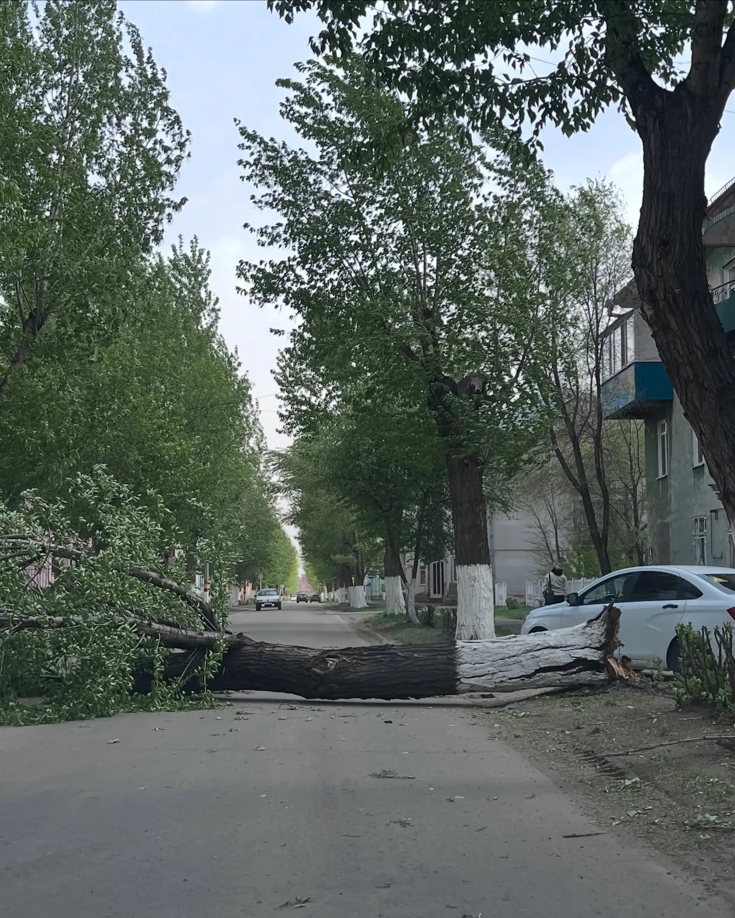 Доброе утро! #6