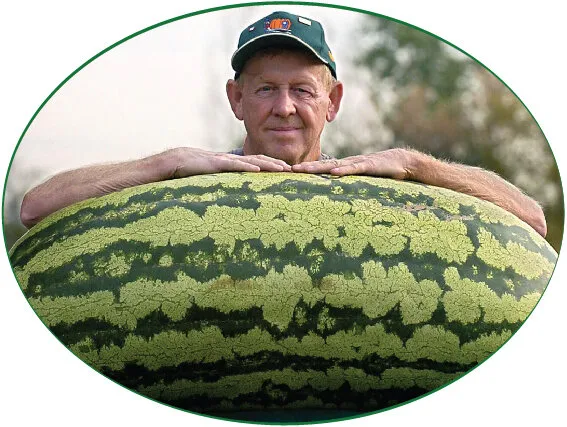 🍉 Самый большой арбуз в мире #1