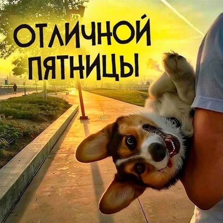 🎉 Ура! Пятница – капитан корабля «Уикэнд» уже на горизонте! #1
