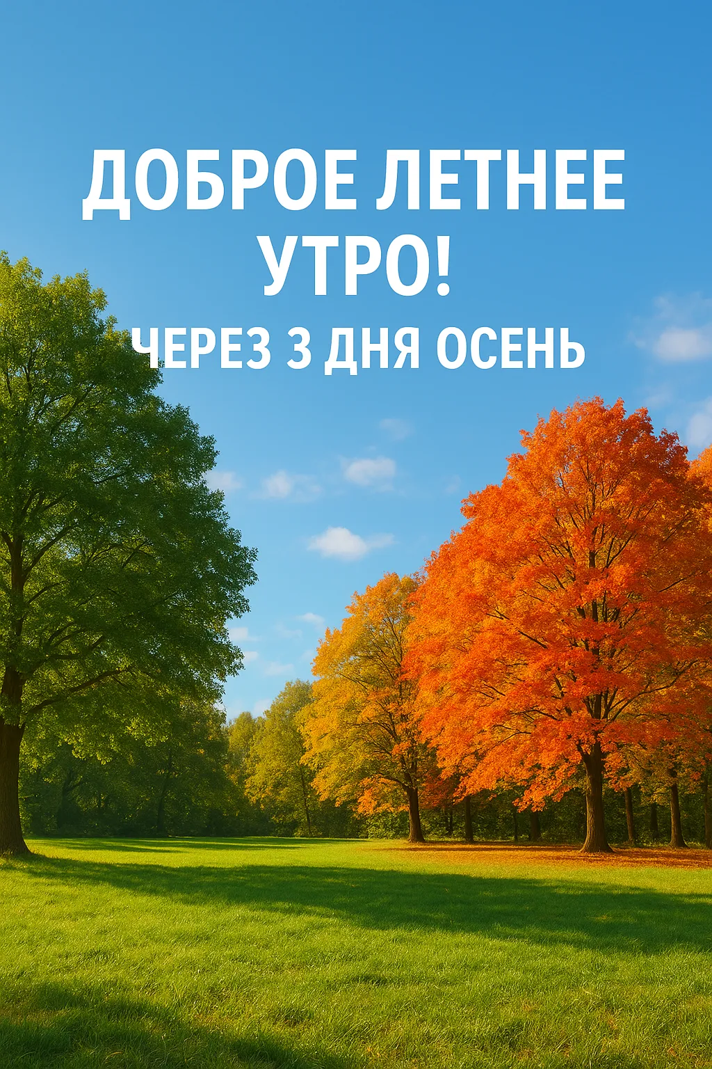 С добрым, пока ещё, летнем утром! #2