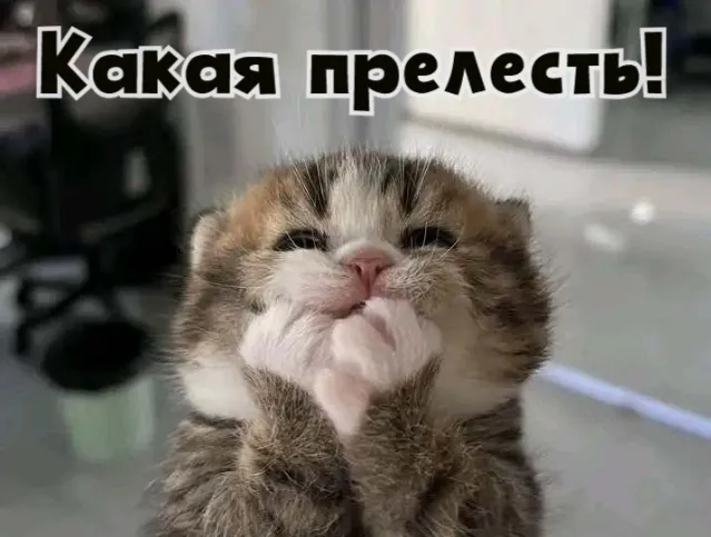 Специальный пост #1