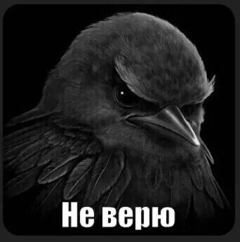 Случалось ли вам забывать и находить деньги спустя годы?  #1