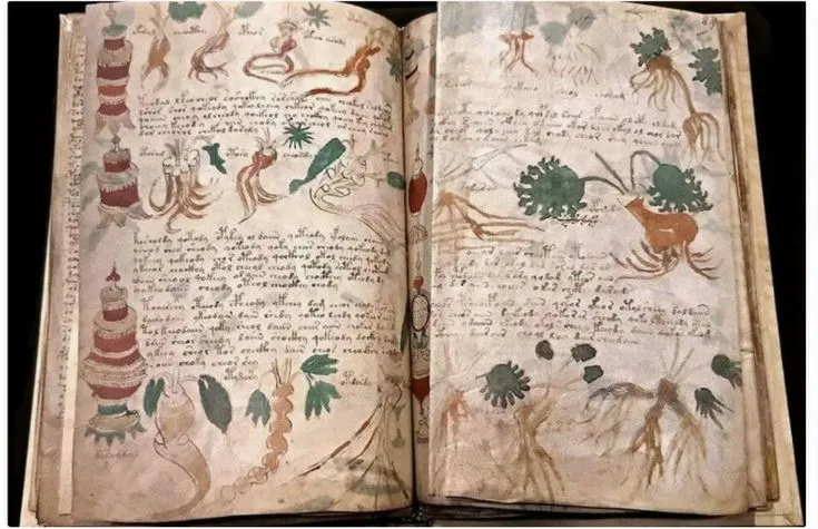 Манускрипт Войнича: книга, над прочтением которой бьются лучшие умы мира #7