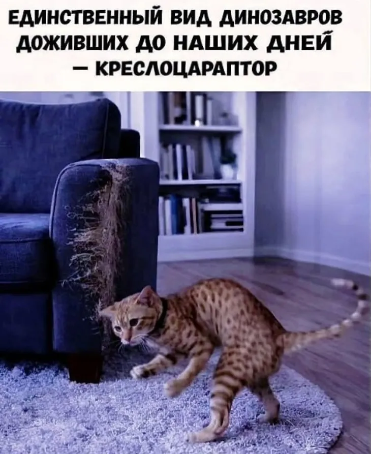 😀 #1