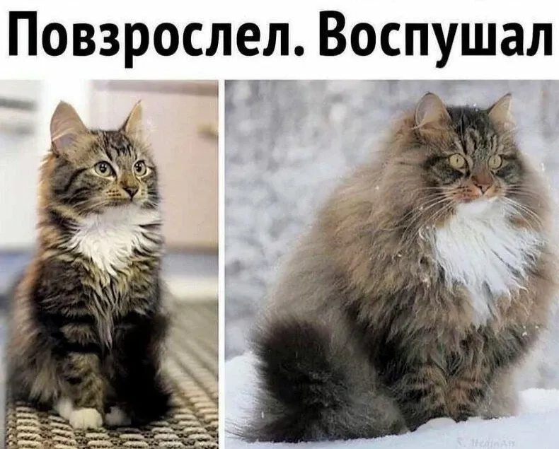 Воспушал 😁 #1