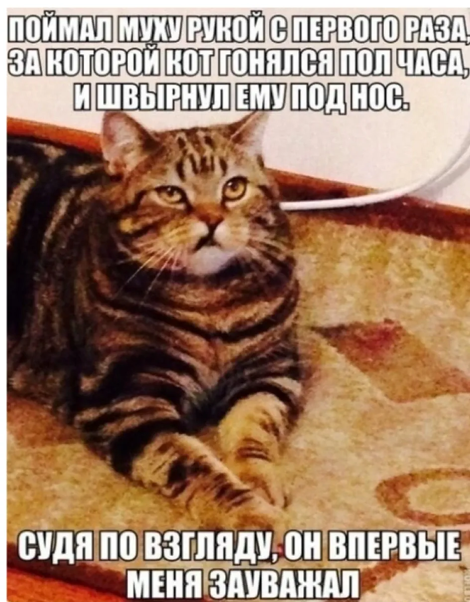 😁 #1