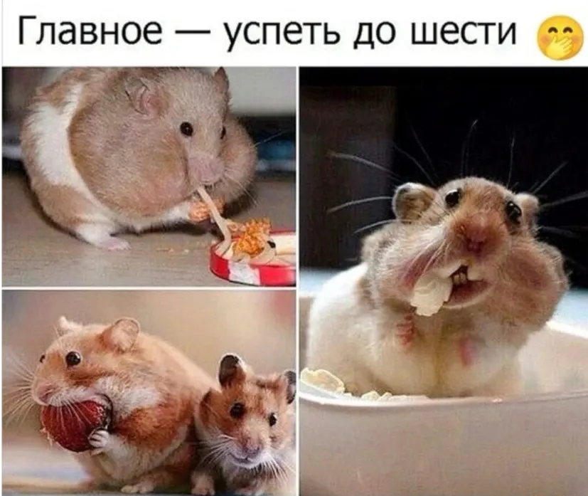 😁 #1