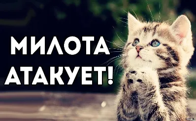 Рисуночек. #1