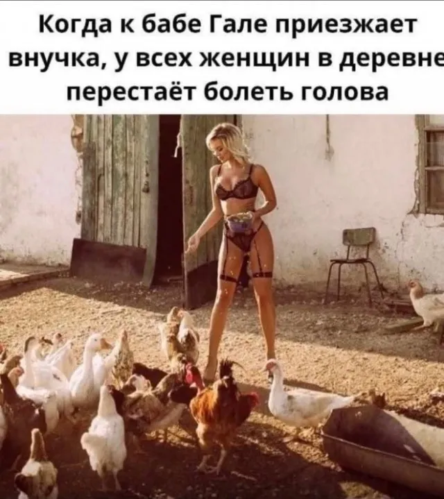 Чудеса да и только! 😁 #1