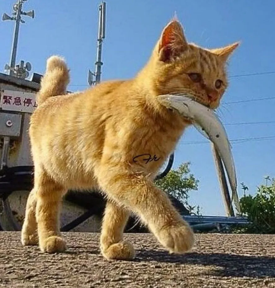 Доброе утро! :) #1
