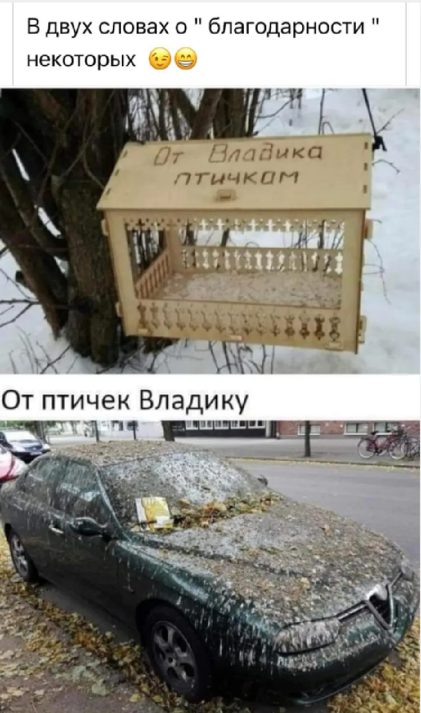 Кратко о благодарности 😁 #1