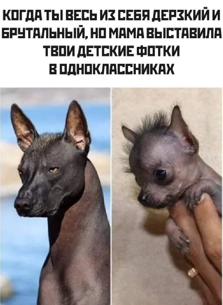 😁 #1