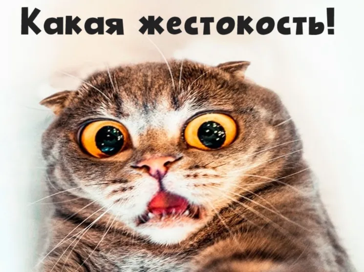 Неудачная попытка (вкл. звук) #1