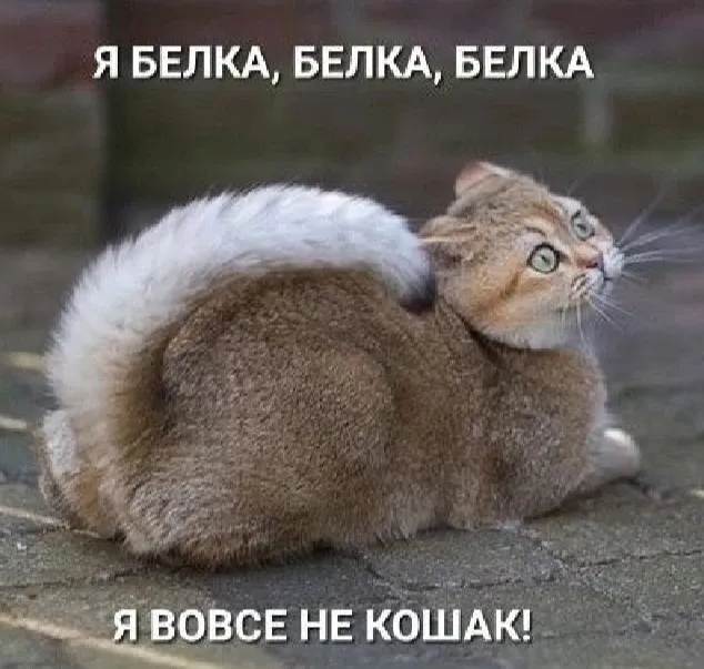 Доброе утро! :) #1