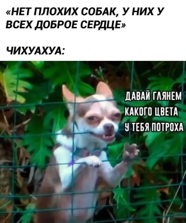 😁 #1