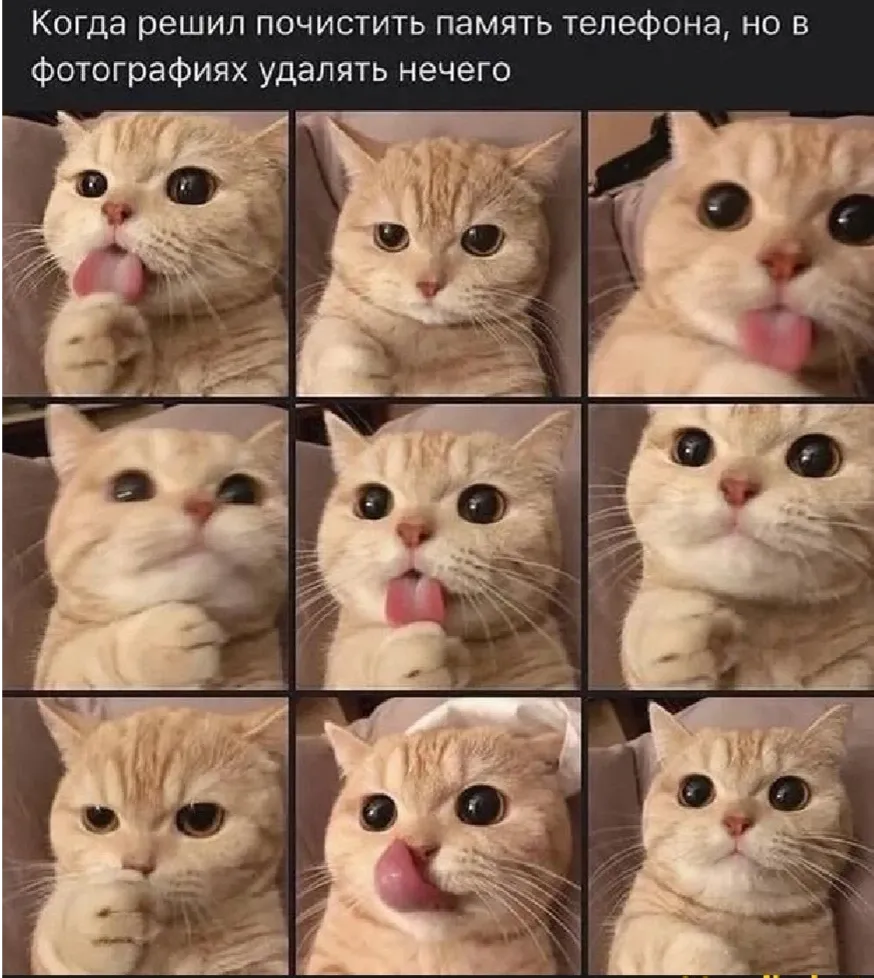 😁 #1