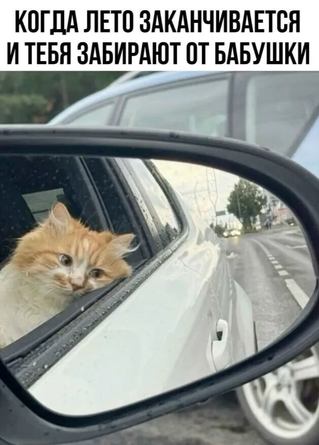 😟 #1