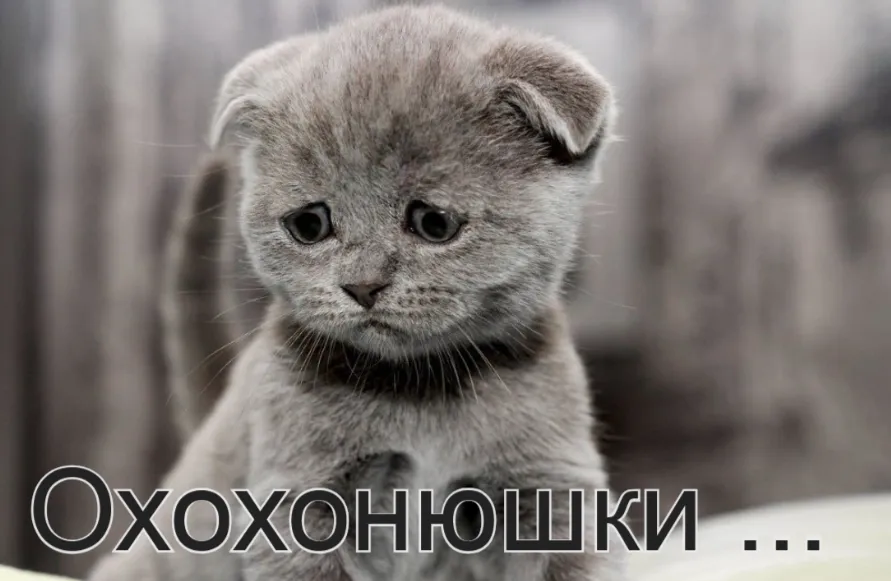 Поиск работы, рассказываю о себе #1