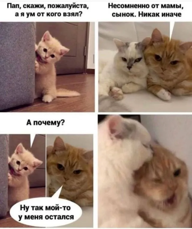 😁 #1