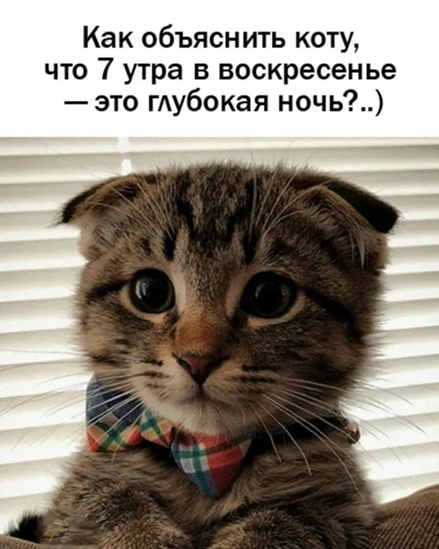 Доброе утро! 😊 #1