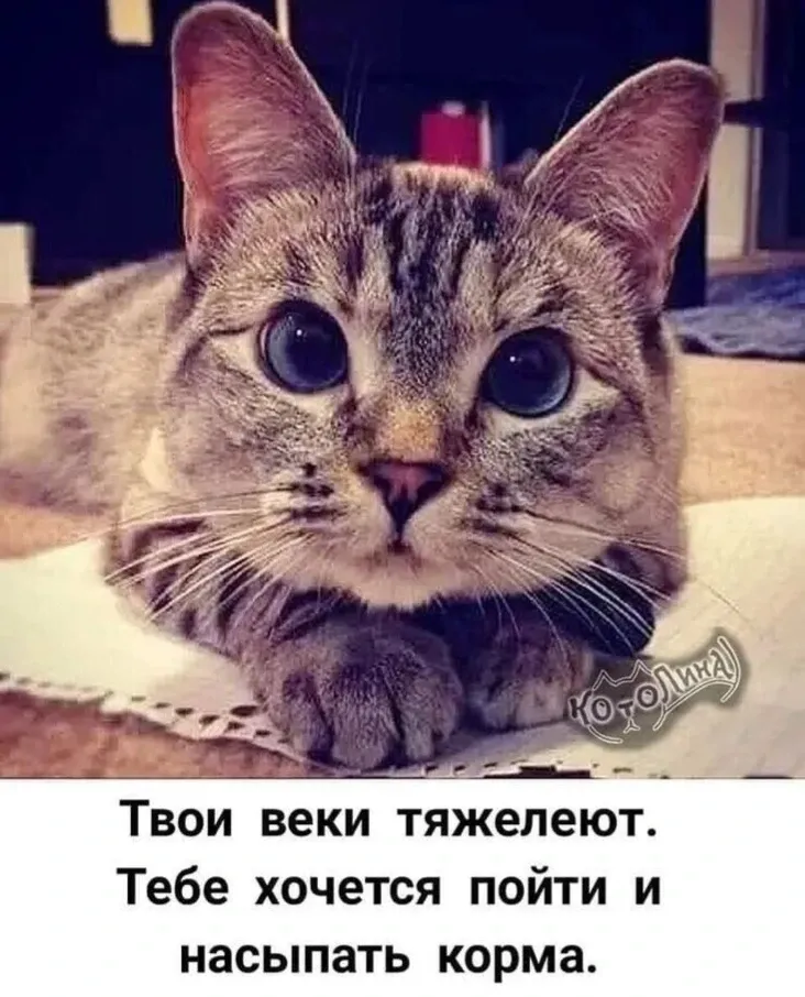 😁 #1