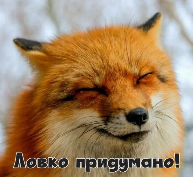 Чаевые для мастера #1