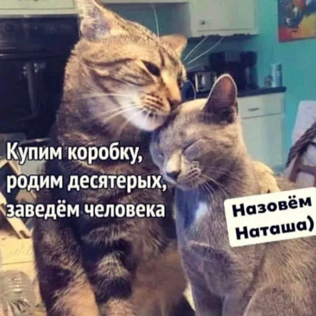 😊 #1
