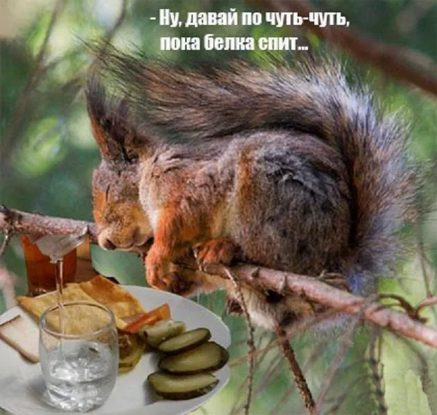 Субботний вечер #2