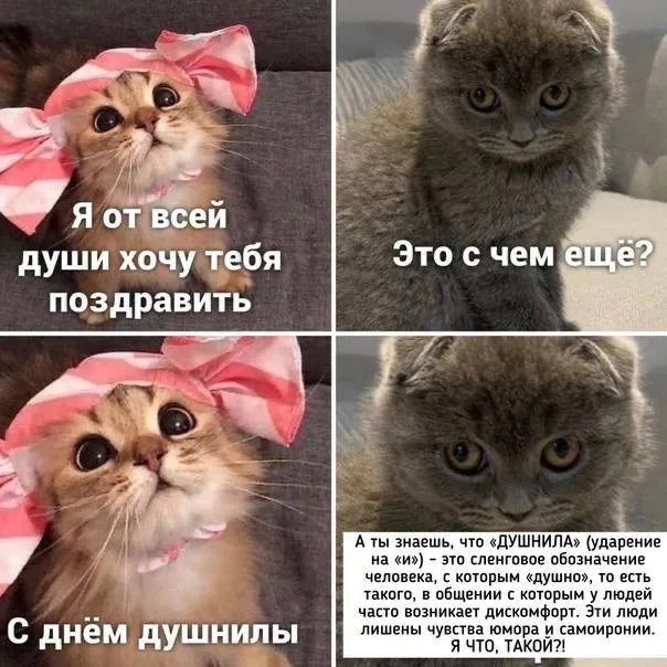 Сегодня отмечается День душнилы! #1