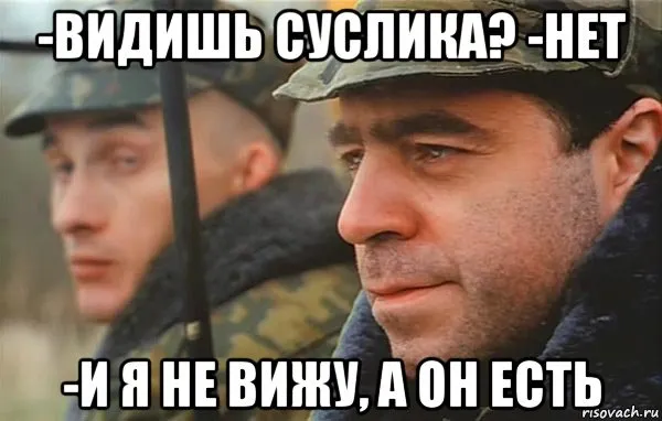 Кот Кефир  #1