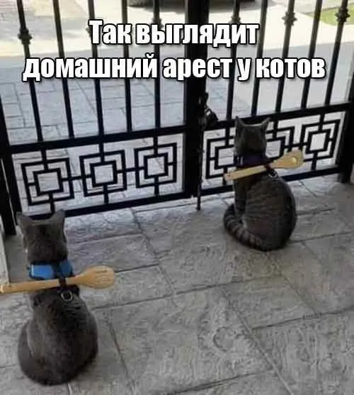 Без слов #1