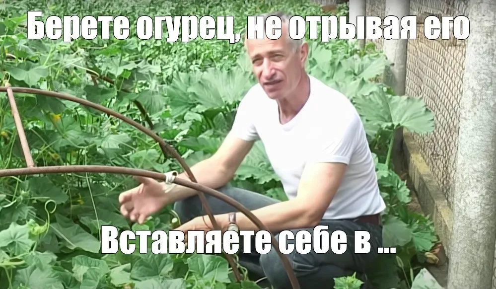 Мистика огурцов #2
