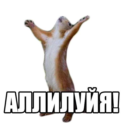 Хоть до кого-то дошло!