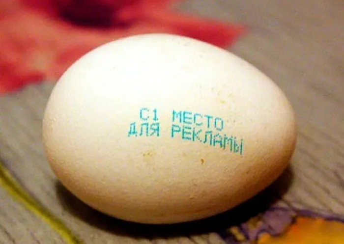 Даже с курицей можно найти общий язык 😉👀👍 #2