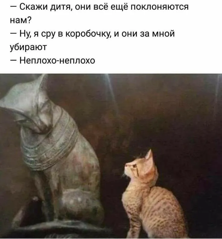 Когда обслуживающий персонал вовремя не встаёт #1