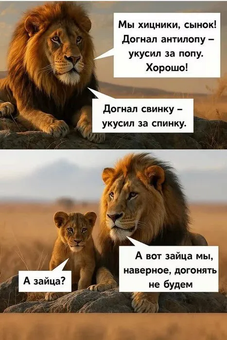 А заяц-то ему чем не угодил? 😁 #1