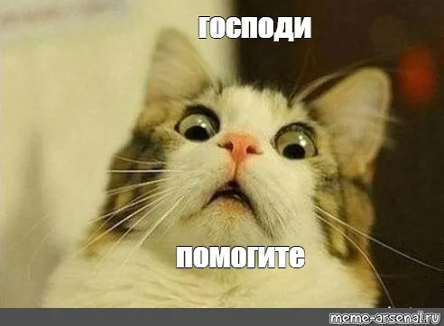 Проверочка! #1