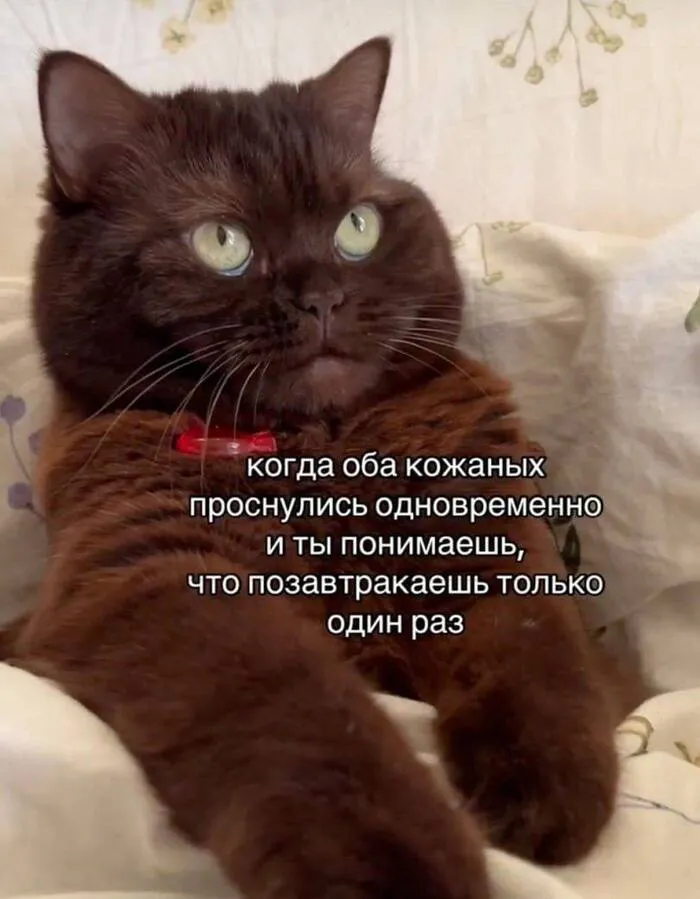 Когда день не задался с самого утра #1