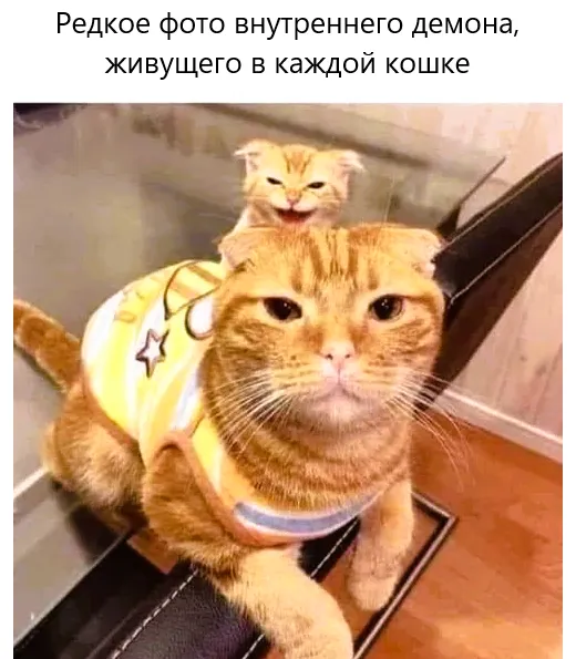 Вылез подышать :) #1