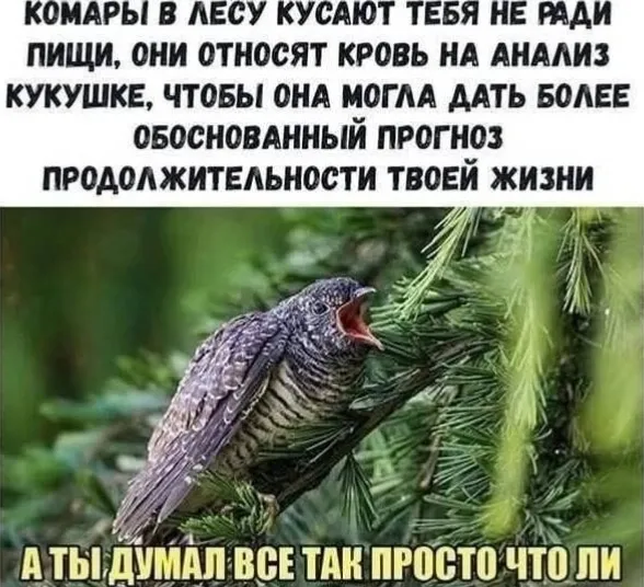 Оказывается, все не так просто... #1