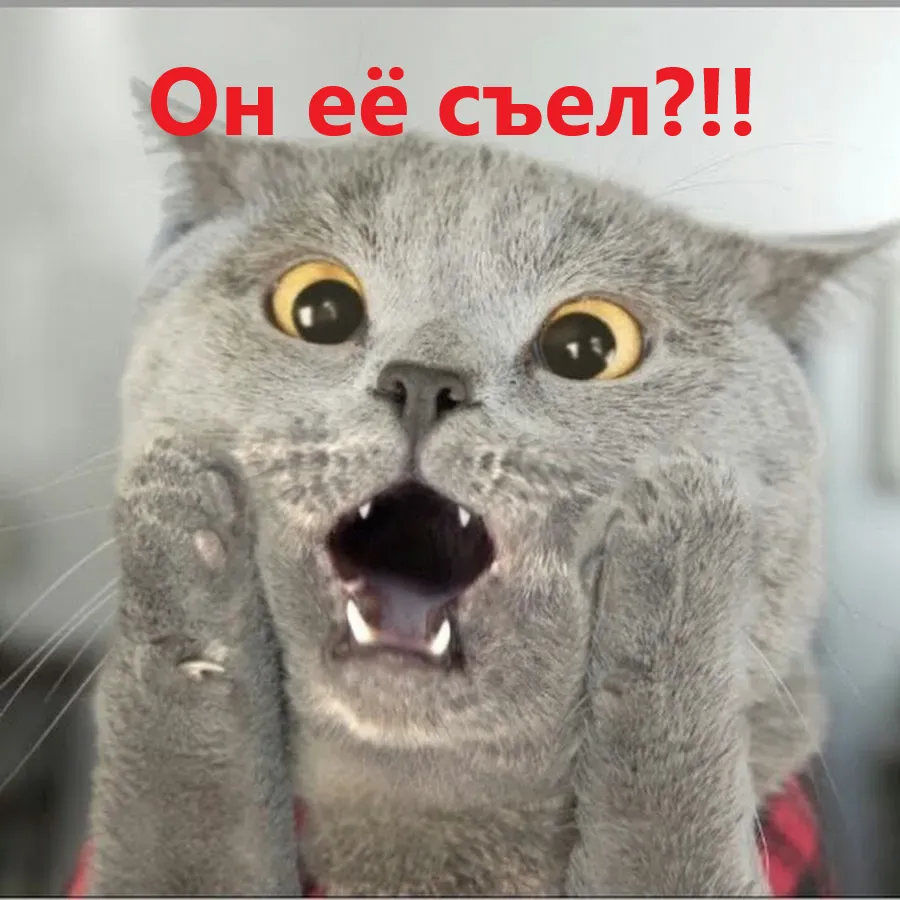 А знаете, почему justcallmesoul не появляется? #1